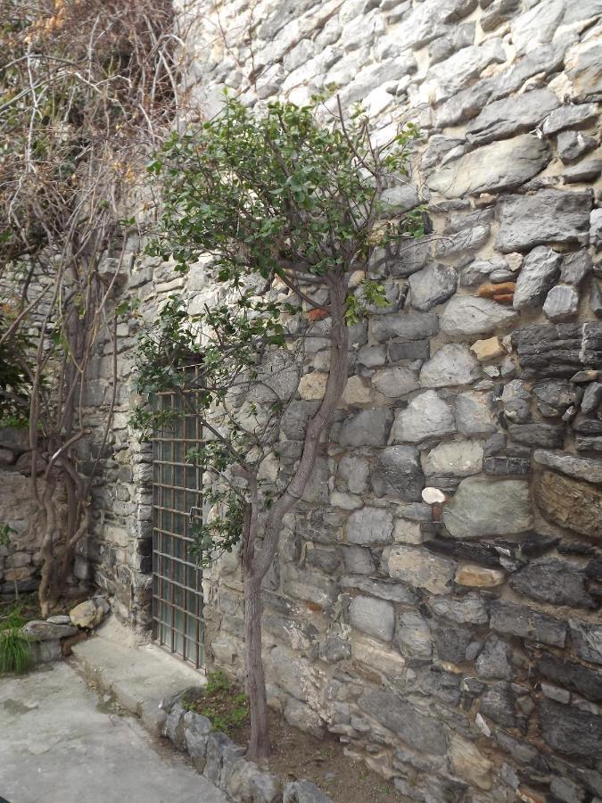 New Hotel Genio Porto Venere Exterior photo